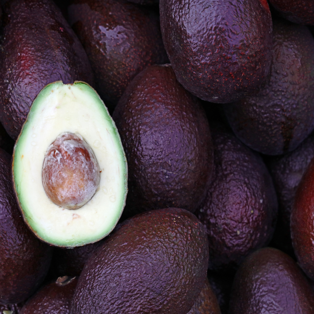 avocado - image 2