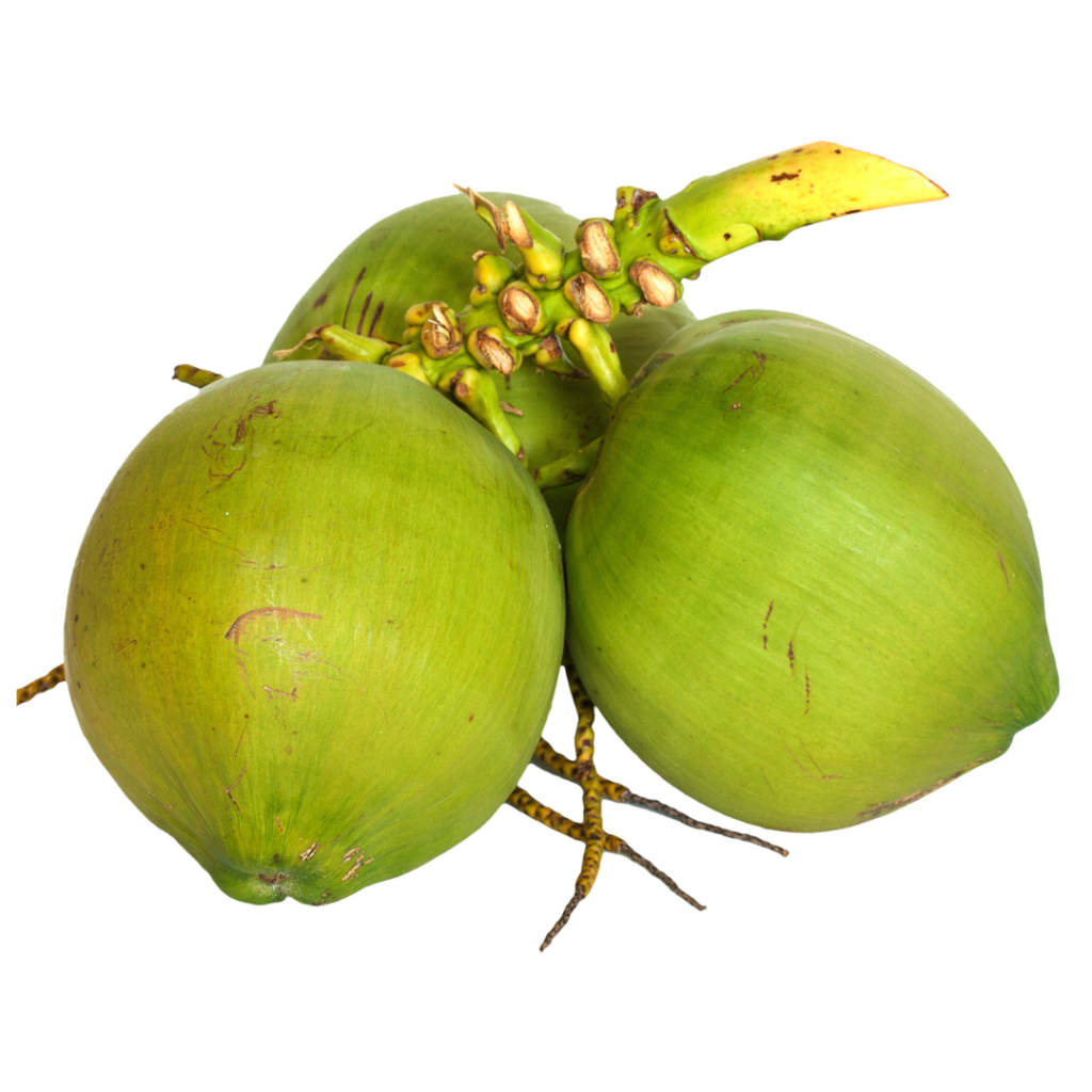 coconut tall - image 1