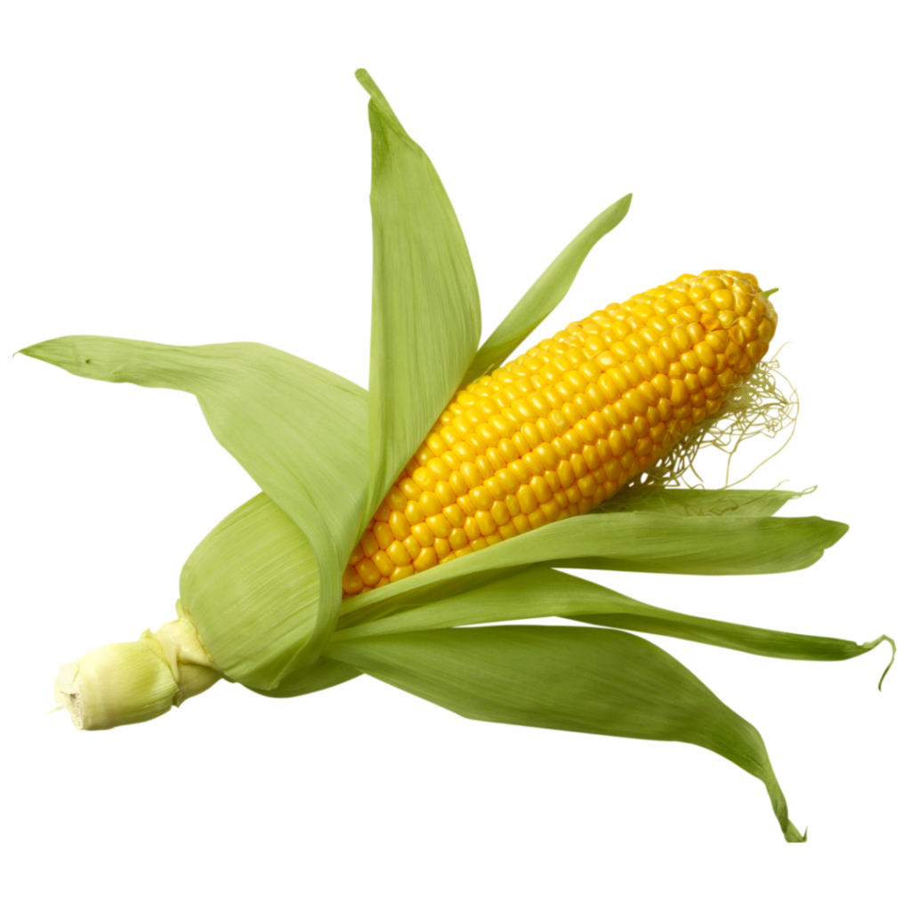 corn japanese - image 1