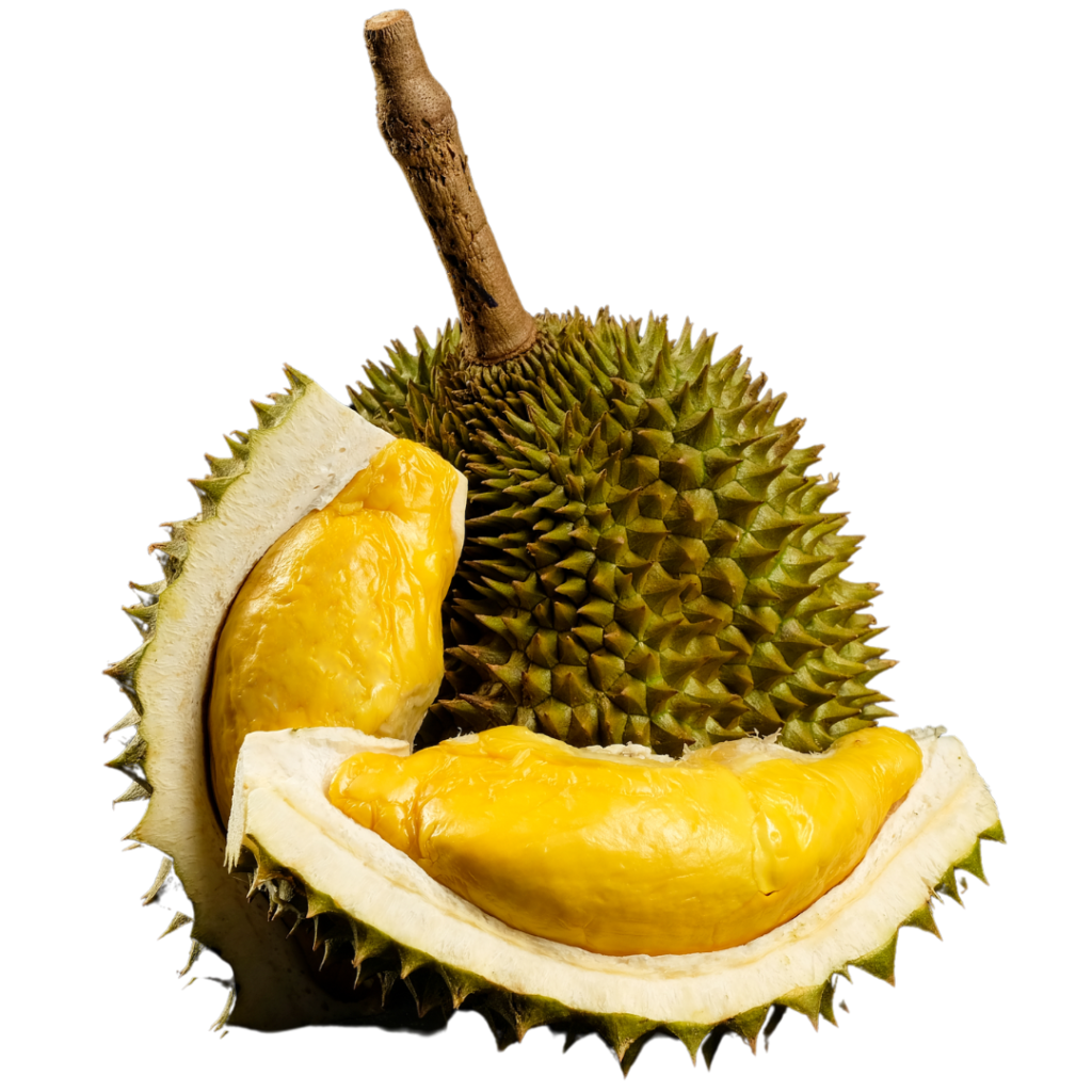 durian puyat - image 1