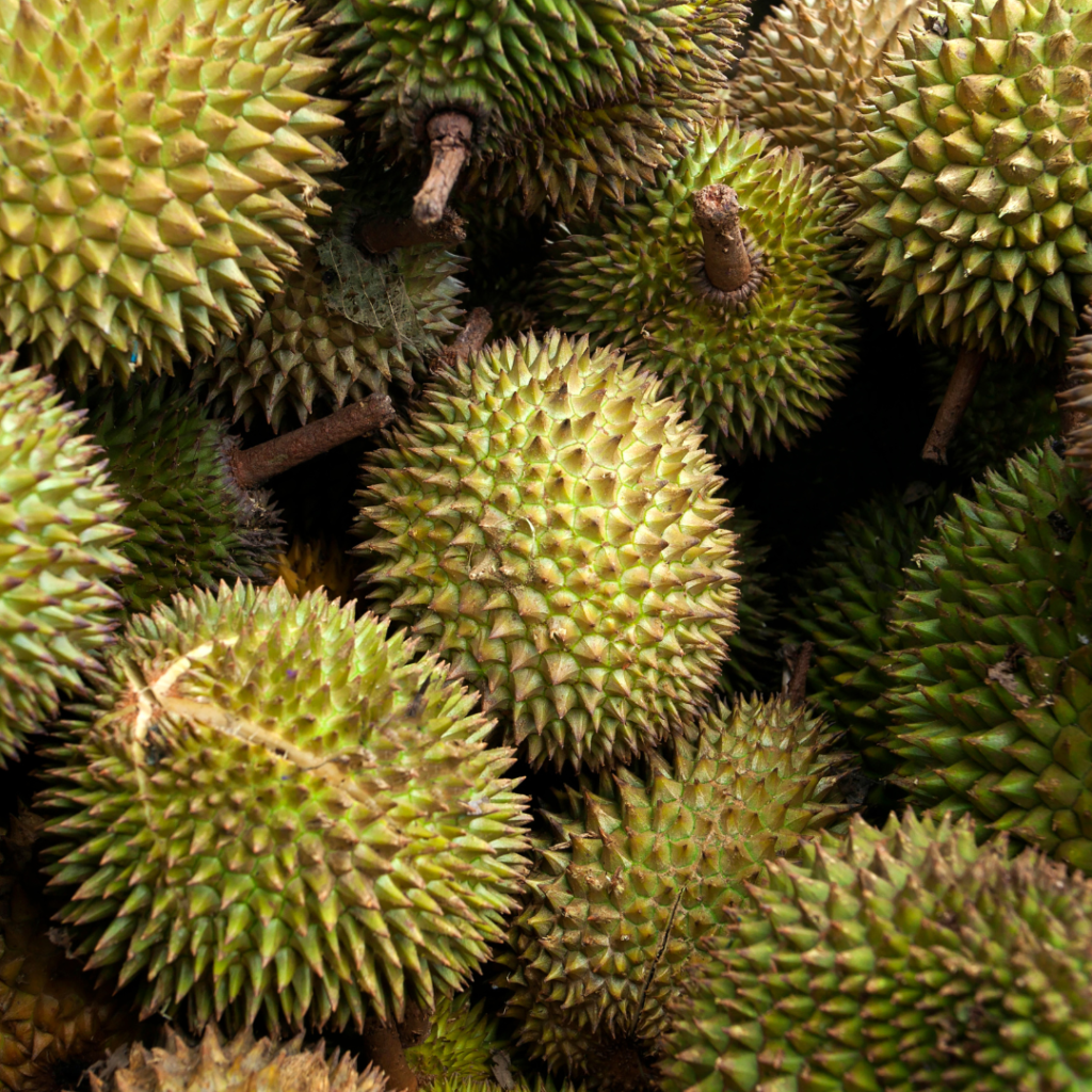 durian puyat - image 2