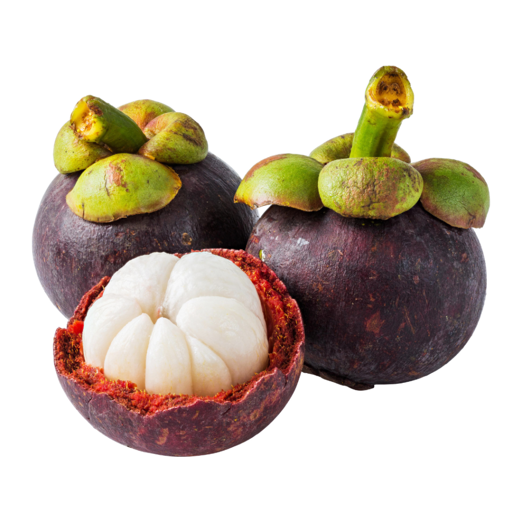 mangosteen G. Mangostana - image 1